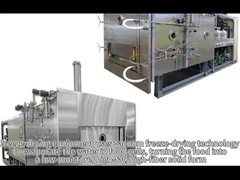 Equipo de liofilización al vacío Cuánto para personalizar para la máquina de liofilización